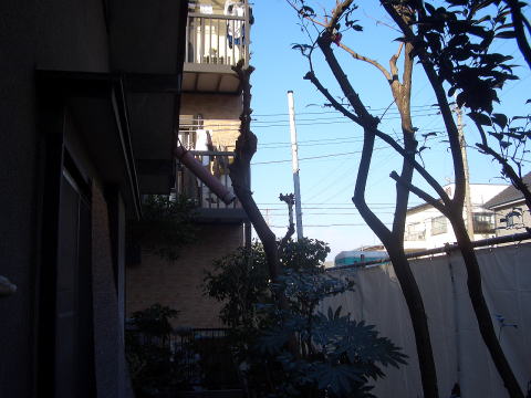 剪定　足立区