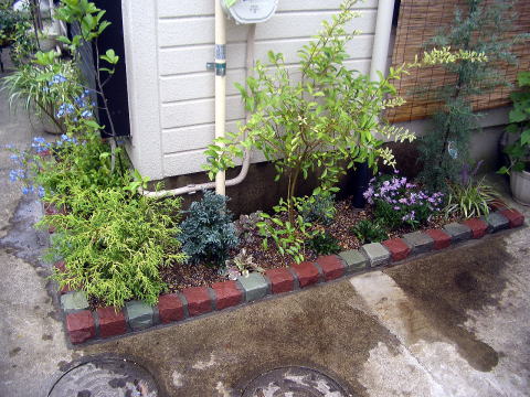 花壇　縁取り　植栽
