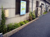 植えかえ工事