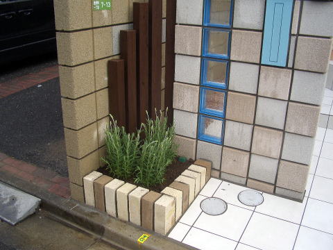 ラベンダー植栽