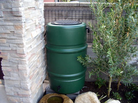 植栽　雨水タンク　助成金