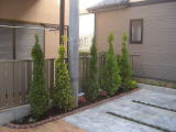 植栽　さいたま市