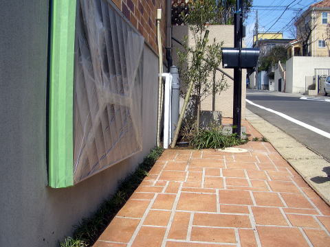 植栽工事　　オリーブ　グランドインプルーブ　横浜市