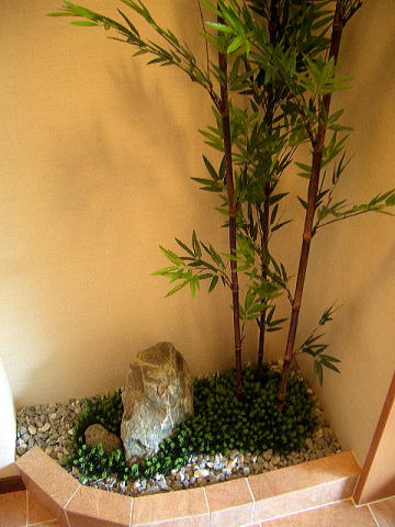 坪庭　人工植物　黒竹