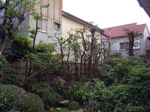 剪定　荒川区