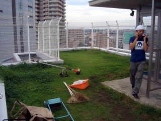 マンション　屋上　芝刈り