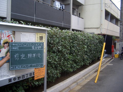 マンション管理　剪定　除草　消毒