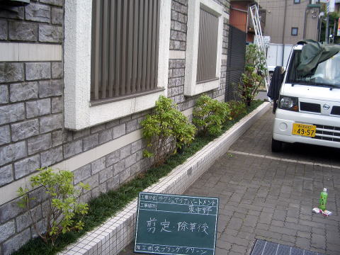 マンション管理　剪定　除草　消毒