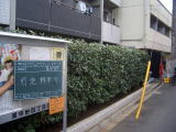 マンション　剪定　消毒　中野区
