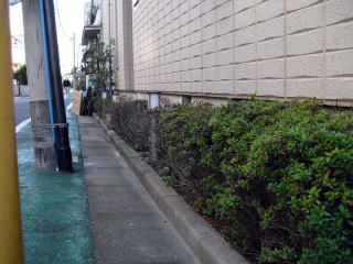 花壇　ピンコロ石　土留め