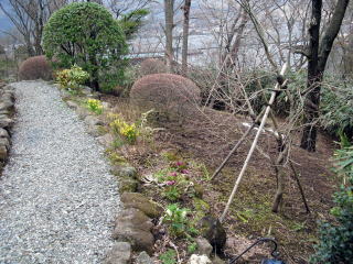 箱根　別荘　造園　改修　苔　築山