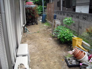 坪庭　テラス　トキワマンサク生垣