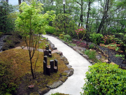 箱根　別荘　造園　改修　苔　築山
