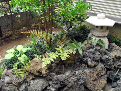 坪庭　テラス　トキワマンサク生垣