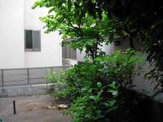 野良猫対策　フェンス