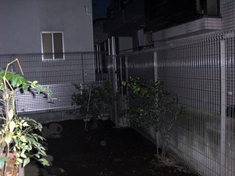 野良猫対策　フェンス