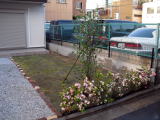 植栽　足立区　芝張り