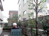 マンション　剪定　薬剤散布