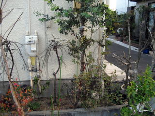 アーチ取り換え　鳥居支柱