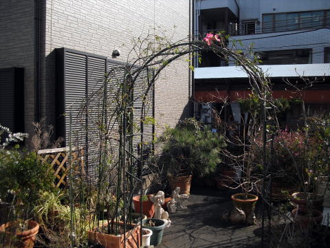 アーチ取り換え　鳥居支柱
