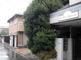 アパート　マンション　植木　伐採