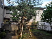 @I[u@x@䕗