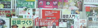 店舗情報　本売り場