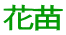 花苗