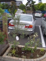 狭い花壇、玄関脇に１㎡植栽セット
